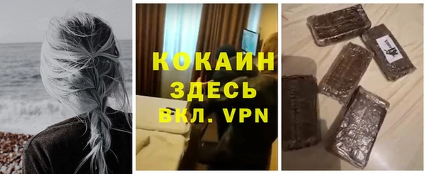 сатива Пестово