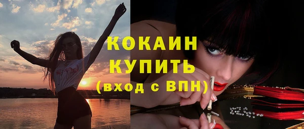 дживик Переславль-Залесский
