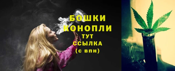 сатива Пестово