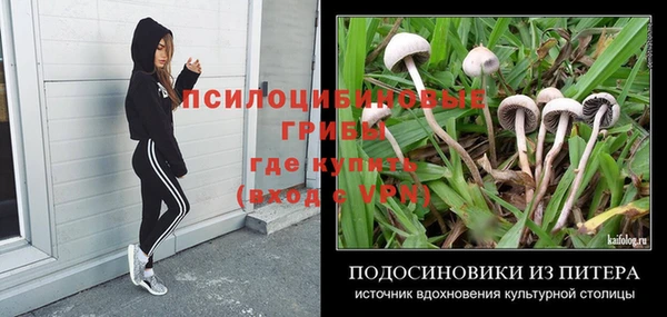 дживик Переславль-Залесский