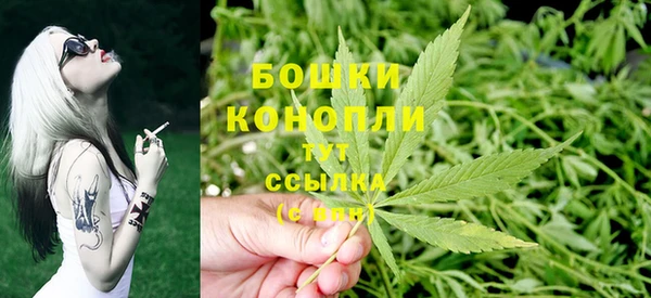 сатива Пестово