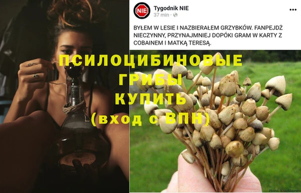 дживик Переславль-Залесский